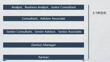 咨询(Consulting）(图2)
